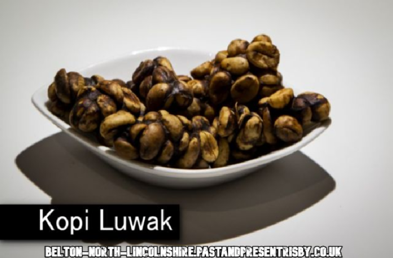 Museum Makanan Menjijikkan di Berlin